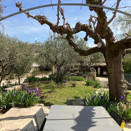 Chambre Avec Petit-Dejeuner En Provence Luberon La Tour-dʼAigues Εξωτερικό φωτογραφία