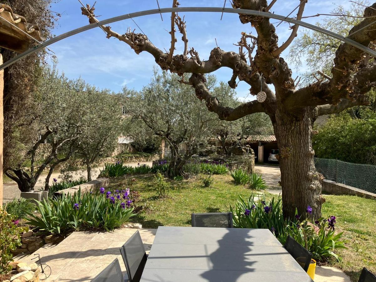 Chambre Avec Petit-Dejeuner En Provence Luberon La Tour-dʼAigues Εξωτερικό φωτογραφία